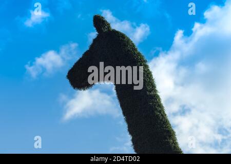 The head of artificial giraffes against the cloud sky. Photo taken in Chelyabinsk, Russia. Stock Photo