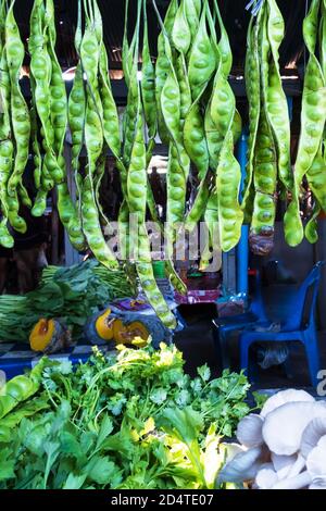 Fresh Bitter Bean or Parkia speciosa hanging for sale at daily market in Narathiwat, Southern Thailand. Stock Photo