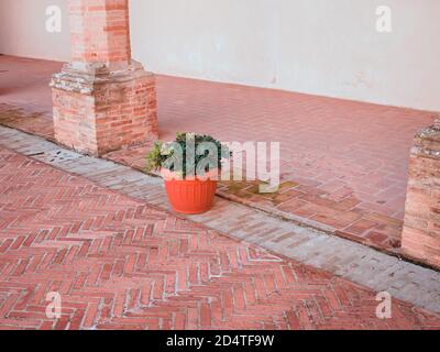 An isolated vase on the ground with a plant near brick columns in the patio of an abbey (Gubbio, Umbria, Italy) Stock Photo