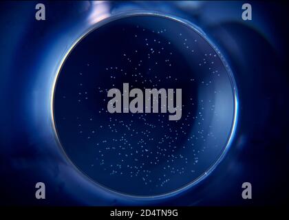 Abstract circle on black background. Sphere in the dark. Stock Photo
