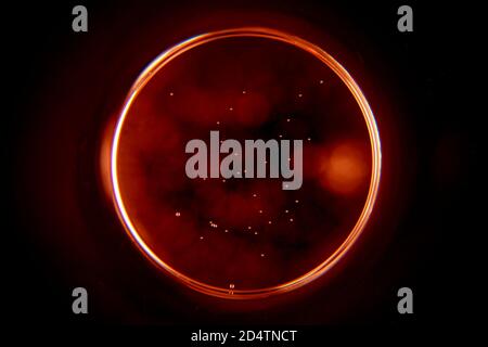 Abstract circle on black background. Sphere in the dark. Stock Photo