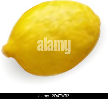 Yellow lemon mockup isolated on white background. Fresh 3d Vector fruit illustration in realistic style. Stock Vector