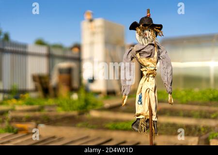 Smiling bogeyman in a garden or field against a blue sky. Bright Sunny summer day. Shallow depth of field. Space for text. Stock Photo