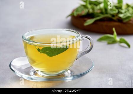 Fresh natural sage herbal tea in glass cup Stock Photo