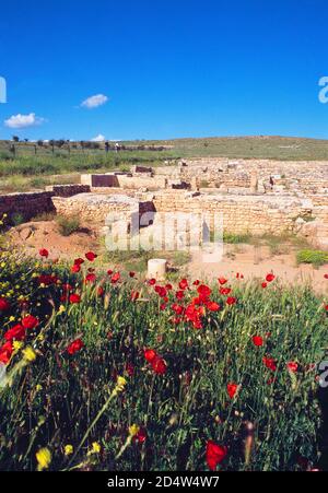 Uxama ruins. El Burgo de Osma, Soria province, Castilla Leon, Spain. Stock Photo