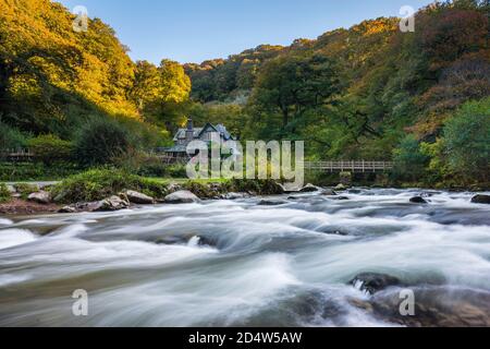 Watersmeet, Lynmouth, Devon, UK.  11th October 2020.  The trees are in their full autumn colours at Watermeet on the Lyn River near Lynmouth in the Exmoor National Park in Devon on a warm sunny afternoon. UK Weather.  Picture Credit: Graham Hunt/Alamy Live News Stock Photo