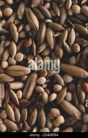 Mixed Bird seeds macro close up, selective focus Stock Photo