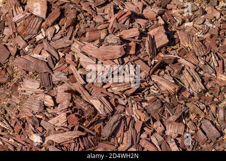 Top view of brown tree bark mulch on the ground. Stock Photo