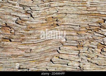A close up image of the coarse grain pattern in a plank of wood found washed up on the beach. Stock Photo
