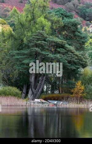 Kinlochard, Scotland, UK. 11th October, 2020. UK Weather: Boats on the shore of Loch Ard which is in Loch Lomond and The Trossachs National Park. Credit: Skully/Alamy Live News Stock Photo