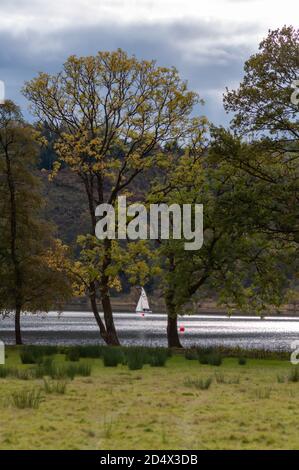 Kinlochard, Scotland, UK. 11th October, 2020. UK Weather: A small boat on Loch Ard which is in Loch Lomond and The Trossachs National Park. Credit: Skully/Alamy Live News Stock Photo