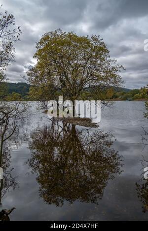 Kinlochard, Scotland, UK. 11th October, 2020. UK Weather: Small island on Loch Ard which is in Loch Lomond and The Trossachs National Park. Credit: Skully/Alamy Live News Stock Photo