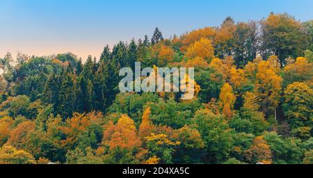 Autumn forest landscape in the Ardennes. Stock Photo