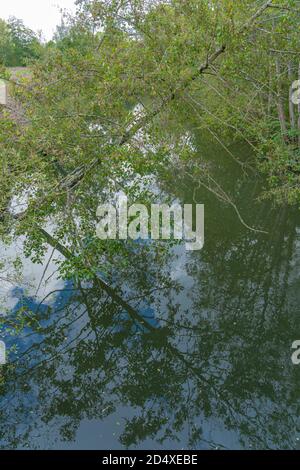 Alençon, France - 10 04 2020: Reflections of trees on the river Stock Photo
