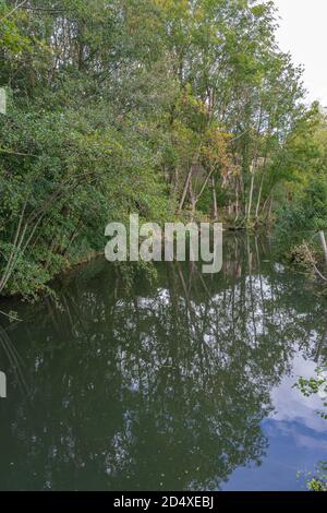 Alençon, France - 10 04 2020: Reflections of trees on the river Stock Photo