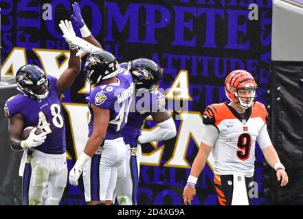 Baltimore Ravens inside linebacker Patrick Queen (48) reacts after scoring  on a 53-yard fumble recovery on a ball dropped by Cincinnati Bengals wide  receiver Mike Thomas, not visible, during the second half