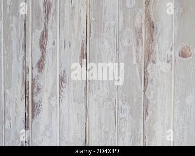 White Wood Backdrop Rustic Old Weathered Peeled Vintage Retro White Painted Grey Wooden Planks Wall Stock Photo