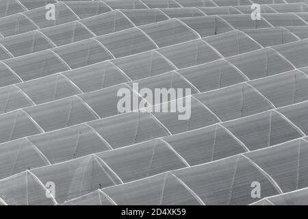 white plastic background with rows of rectangles, geometric figures Stock Photo