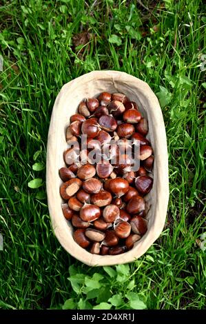 Fresh chestnuts in an old wicker basket Stock Photo