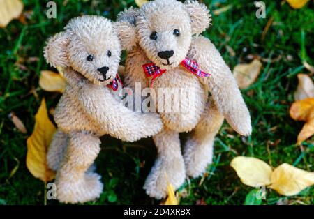 Teddy Bear Stock Photo