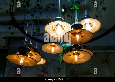 overhead lights with curly leaves of plant suspended on ceiling of retro Edison lamp with round reflectors rusty from old age in interior of night res Stock Photo