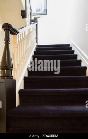 Dark blue carpeted staircase with black varnished newel post and white painted balusters leading to upstairs floor inside a 1924 semi-detached cottage Stock Photo