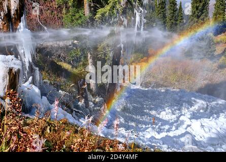 Rainbow near the waterfall in the middle of the forest in the highlands; massive icicles made of dripping ice on spruce branches Stock Photo