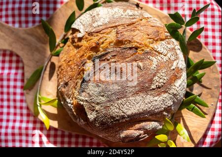 Fresh baked sourdough bread Stock Photo