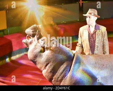 Orenburg, Russia - October 12, 2019: Trainer and hippopotamus in the circus arena Stock Photo