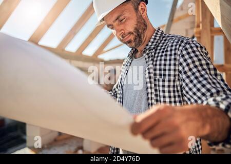 Focused professional architect looking at the blueprint Stock Photo