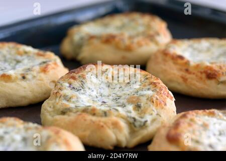 Fresh homemade open patties with cheese and herbs. Traditional Russian pastry vatrushka, round buns. Stock Photo