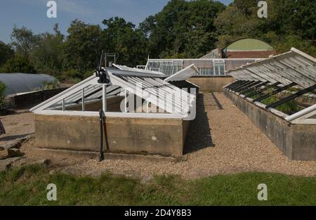 Traditional Stone Base and Wooden Frame Coldframe for Propagating Seeds, Vegetables and Plants in a Vegetable Garden at Gravetye Manor in West Sussex Stock Photo