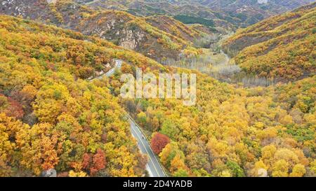 Beijing, China. 11th Oct, 2020. The beauty of LaPaGouMen primeval forest park in autumn in Beijing, China on 11th October, 2020.(Photo by TPG/cnsphotos) Credit: TopPhoto/Alamy Live News Stock Photo