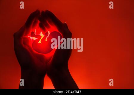 silhouette of female hands holding paper embryo on red background .concept. Stock Photo