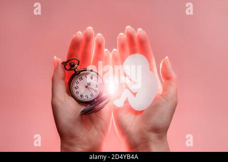 Embryo silhouette from paper and clock in woman hands with light. Pink background. Soft focus. Stock Photo