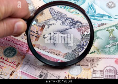 United Arab Emirates dirham in a magnifying glass Stock Photo