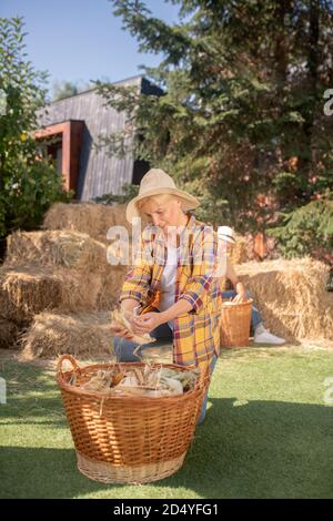 Female standing on her knee, shucking maize cobs, male farmer doing the same behind her Stock Photo