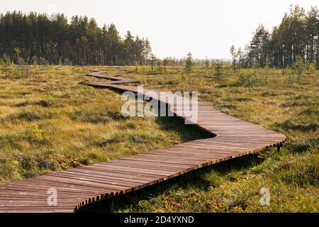 Ecological hiking trail in a national park through peat bog swamp, wooden path through protected environment. Wild place in Sestroretsk, St. Petersbur Stock Photo