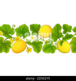melon vector pattern Stock Vector