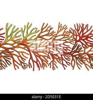sea moss pattern Stock Vector