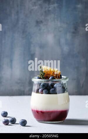 Homemade classic dessert Panna cotta with blueberry berries and jelly in jars, decorated by thyme and honey combs over white blue table Stock Photo