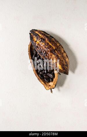 Fresh and dry cocoa beans from cocoa pod over white texture background. Flat lay, space Stock Photo