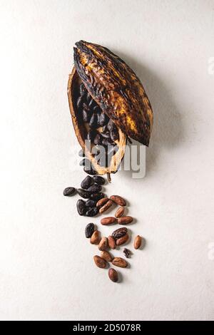 Variety of fresh and dry cocoa beans from cocoa pod over white texture background. Flat lay, space Stock Photo