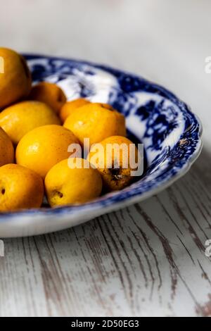 Japanese Quince, Jelly making Stock Photo