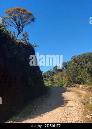 A small pathway that's been half lit-up by sunlight and half covered in the shadows of a wall. Stock Photo