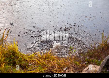 A big splash in the water with small ripples flowing outwards Stock Photo