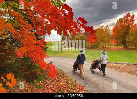 Two golfers pushing their golf carts down a path enjoying a beautiful cool autumn day in Canada Stock Photo