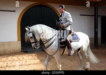 Horse and rider at the Royal Andalusian School of Equestrian Art (Real Escuela Andaluza del Arte Equestre), Jerez de la Frontera, Andalusia, Spain Stock Photo