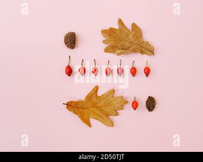 Creative composition with  dry oak leaves and red rose hips. Autumn, fall, thanksgiving day concept.  Flat lay with space for text. Horizontal . Stock Photo