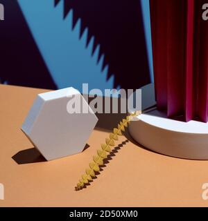 Composition of geometric shapes and colored fans made of cardboard. Concept. Stock Photo